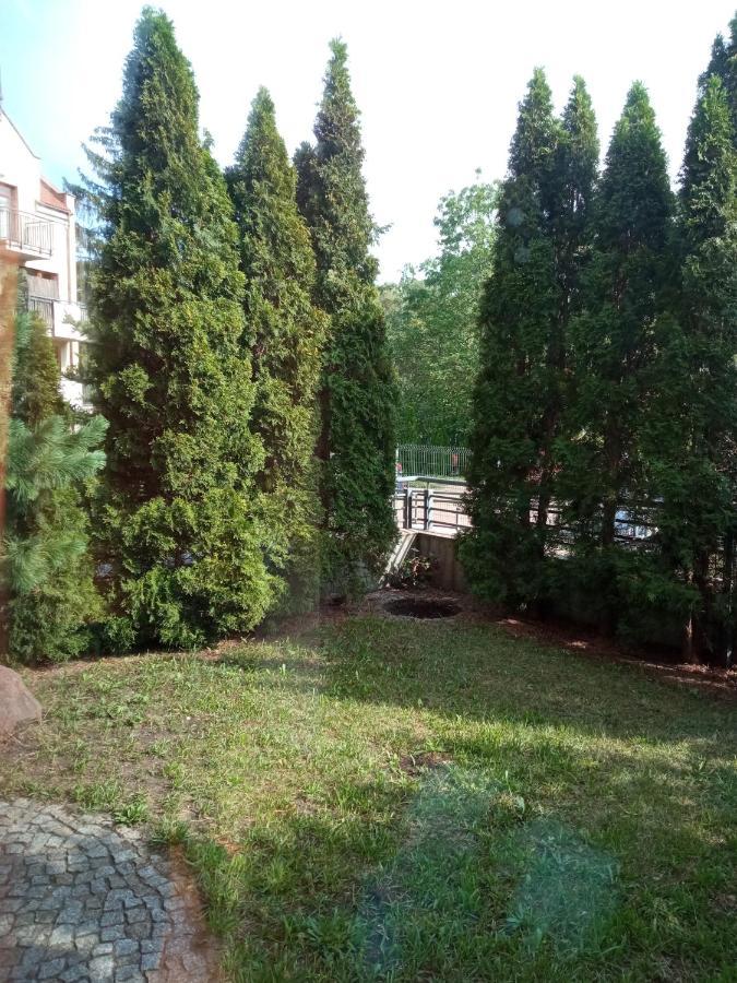 Niewielki Jedno Lub Dwuosobowy W Duzym Mieszkaniu W Wrzeszcz Ul Smoluchowskiego Kolo Akademii Medycznej - Cooliving Privat overnatting *